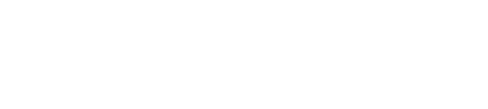 faces travel
