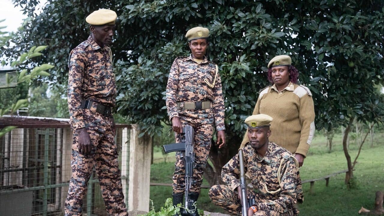 Featured image for “Lydia Simiyu hopes to become an African Champion”