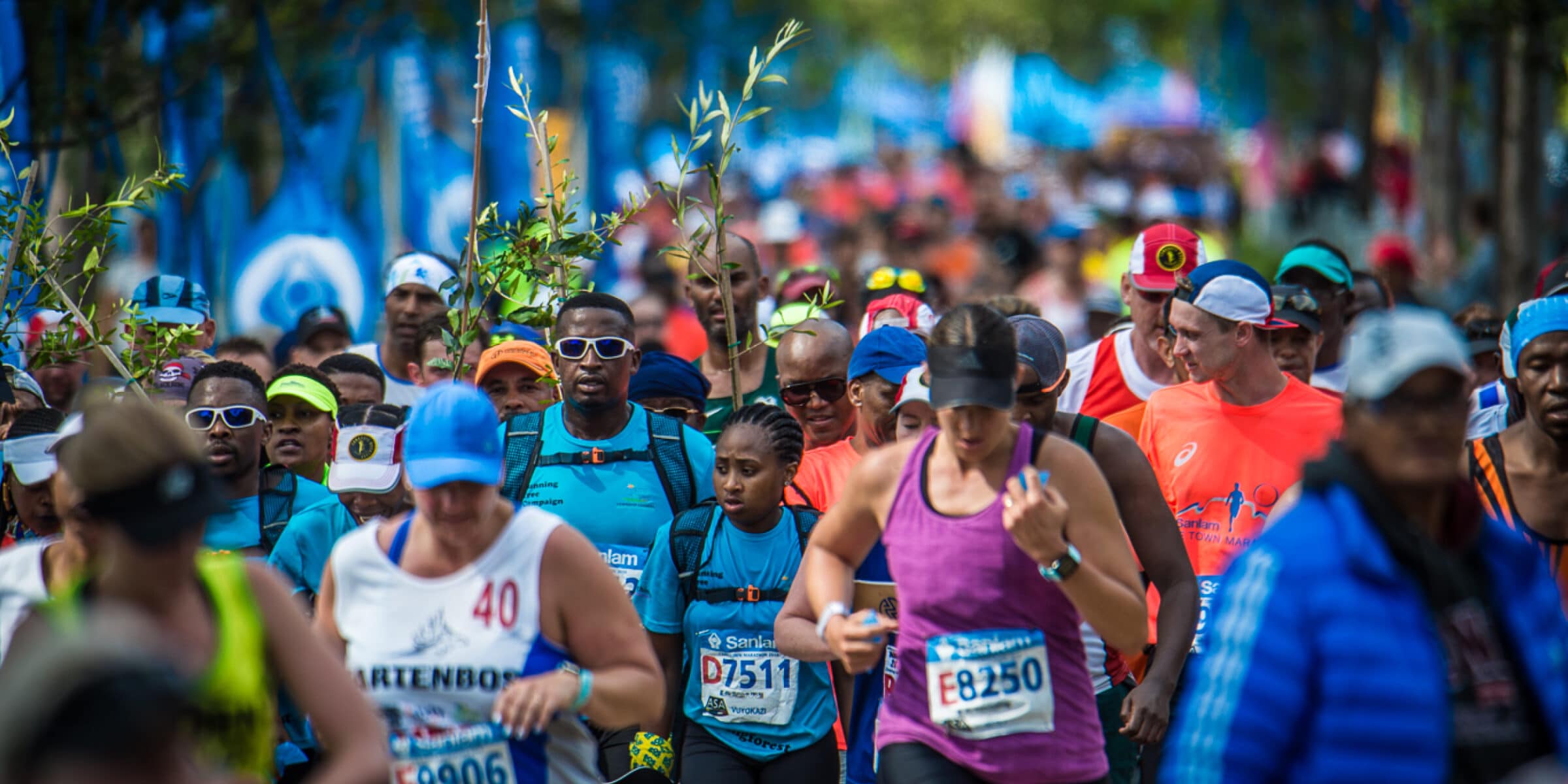 Featured image for “The Running Tree Campaign”